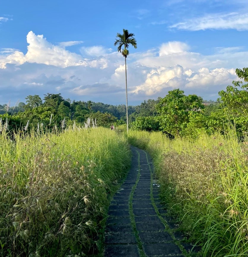 Why Supporting Small Artisan Home Decor Shops from Bali Matters